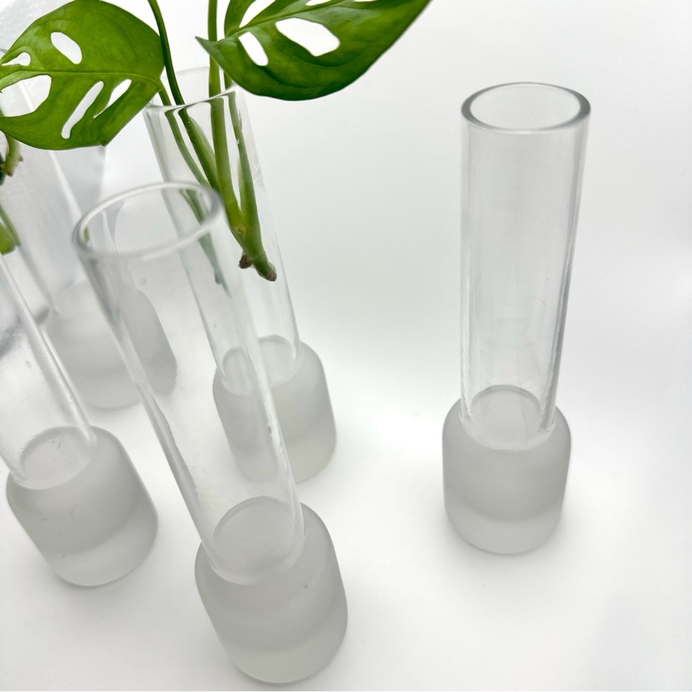 Small Clear Glass Tube Plant Propagation Vase Chunky Base Frosted Glass Bud Vase - Picture 3 of 10